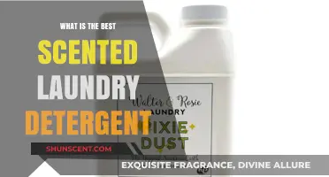 Discover the Best Scented Laundry Detergent for Fresh, Long-Lasting Fragrance