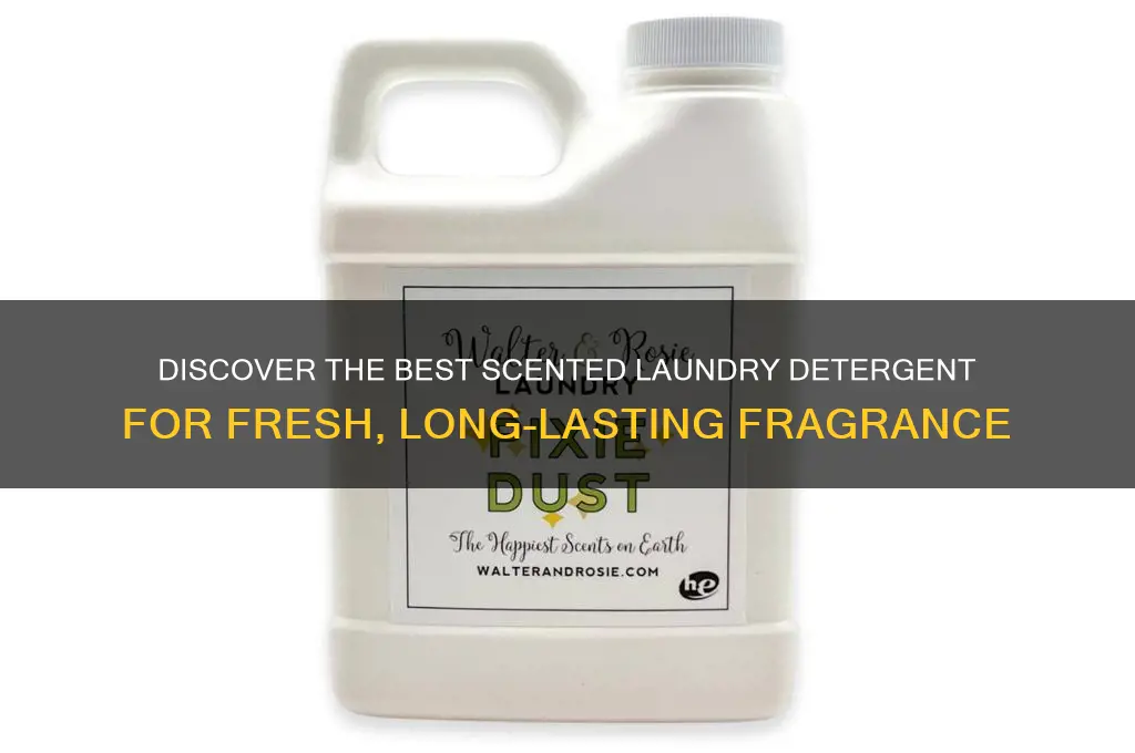 what is the best scented laundry detergent