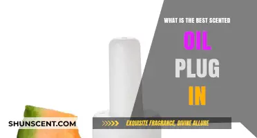 Discover the Best Scented Oil Plug-In for Your Home
