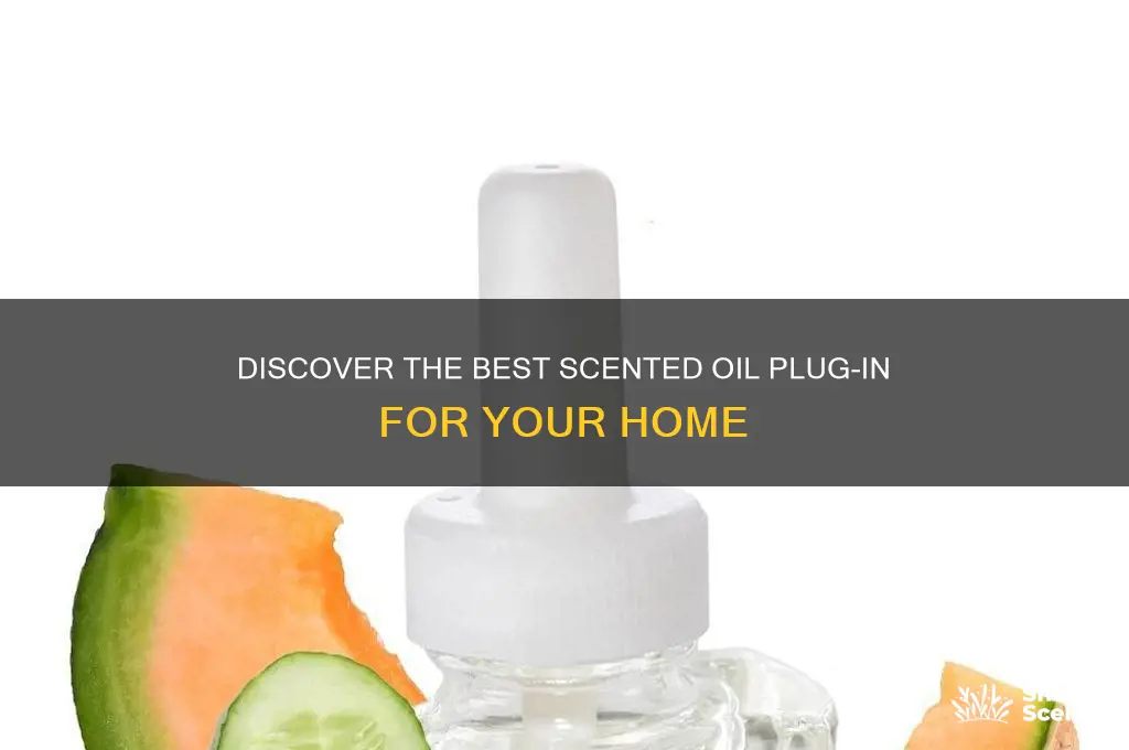 what is the best scented oil plug in