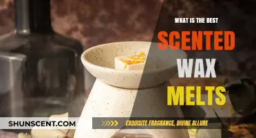 Discover the Most Aromatic Wax Melts for Your Home