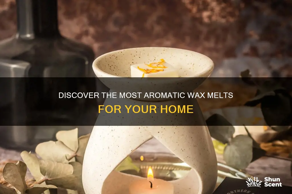 what is the best scented wax melts
