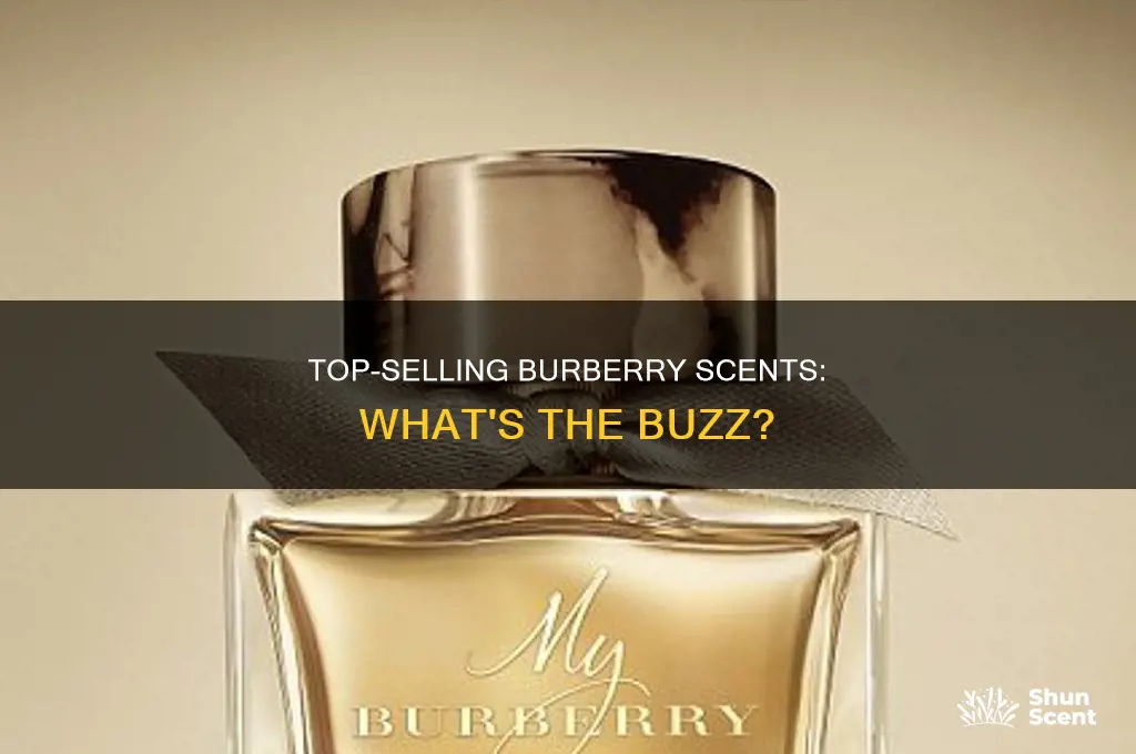 what is the best selling burberry perfume