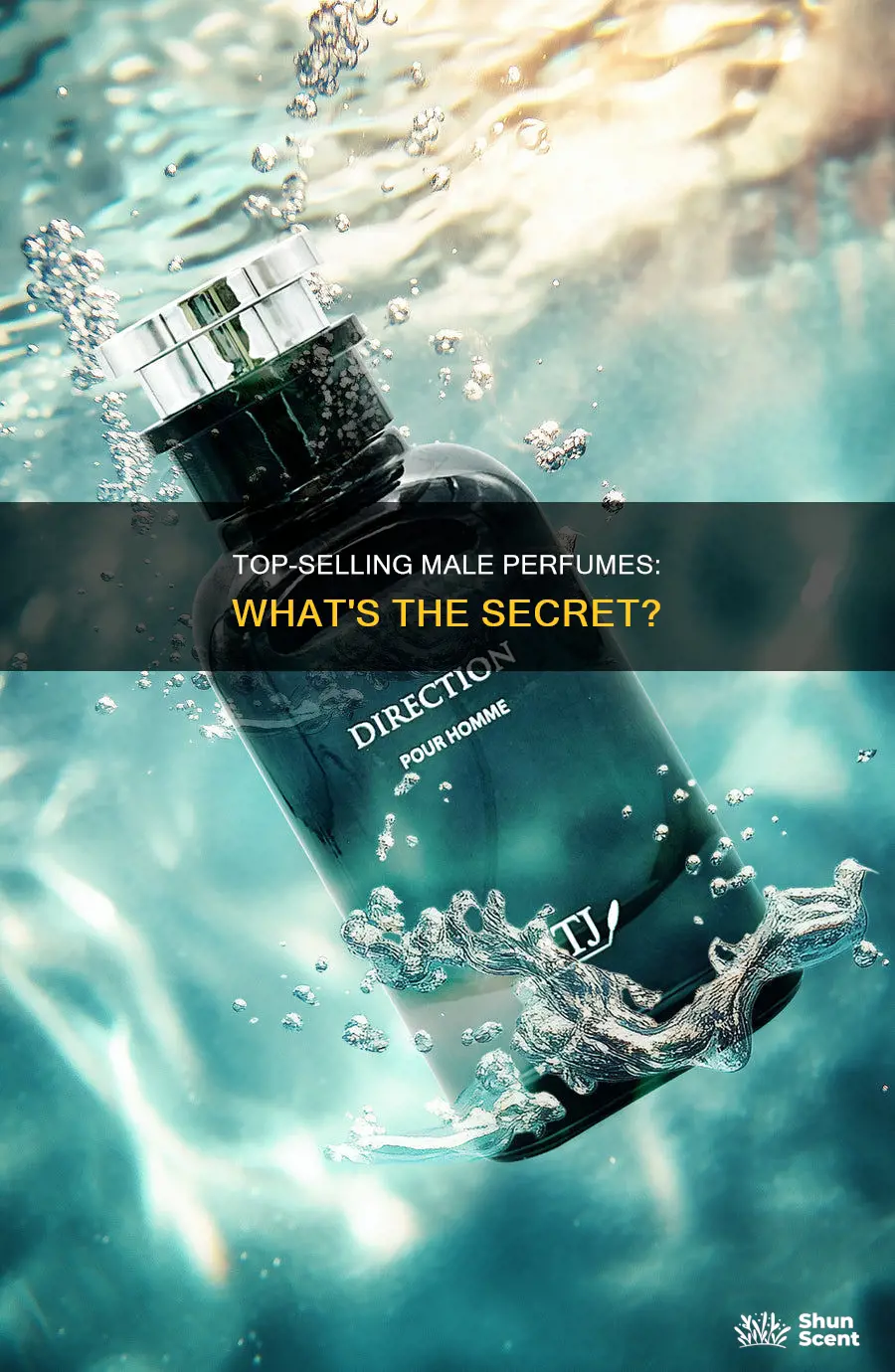 what is the best selling male perfume