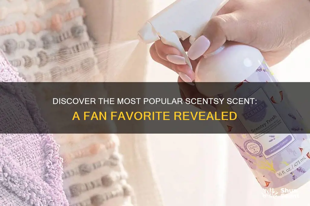 what is the best selling scentsy scent