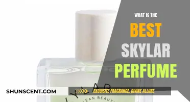 Skylar Perfumes: Which Scents Should You Choose?