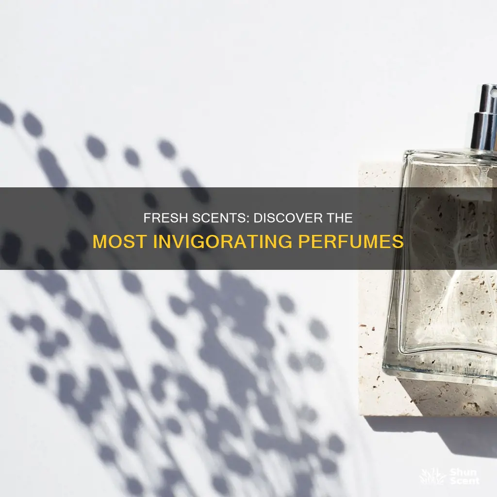 what is the best smelling and fresh juicy perfume