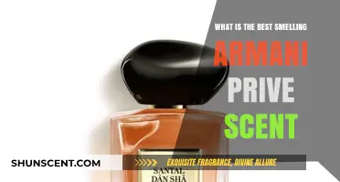 Discover the Most Luxurious Armani Privé Fragrance with the Best Scent
