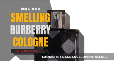 The Best-Smelling Burberry Colognes for Men