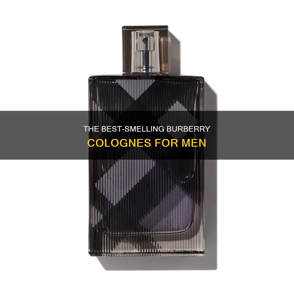 what is the best smelling burberry cologne