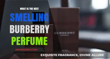 Discover the Most Delightful Burberry Perfumes