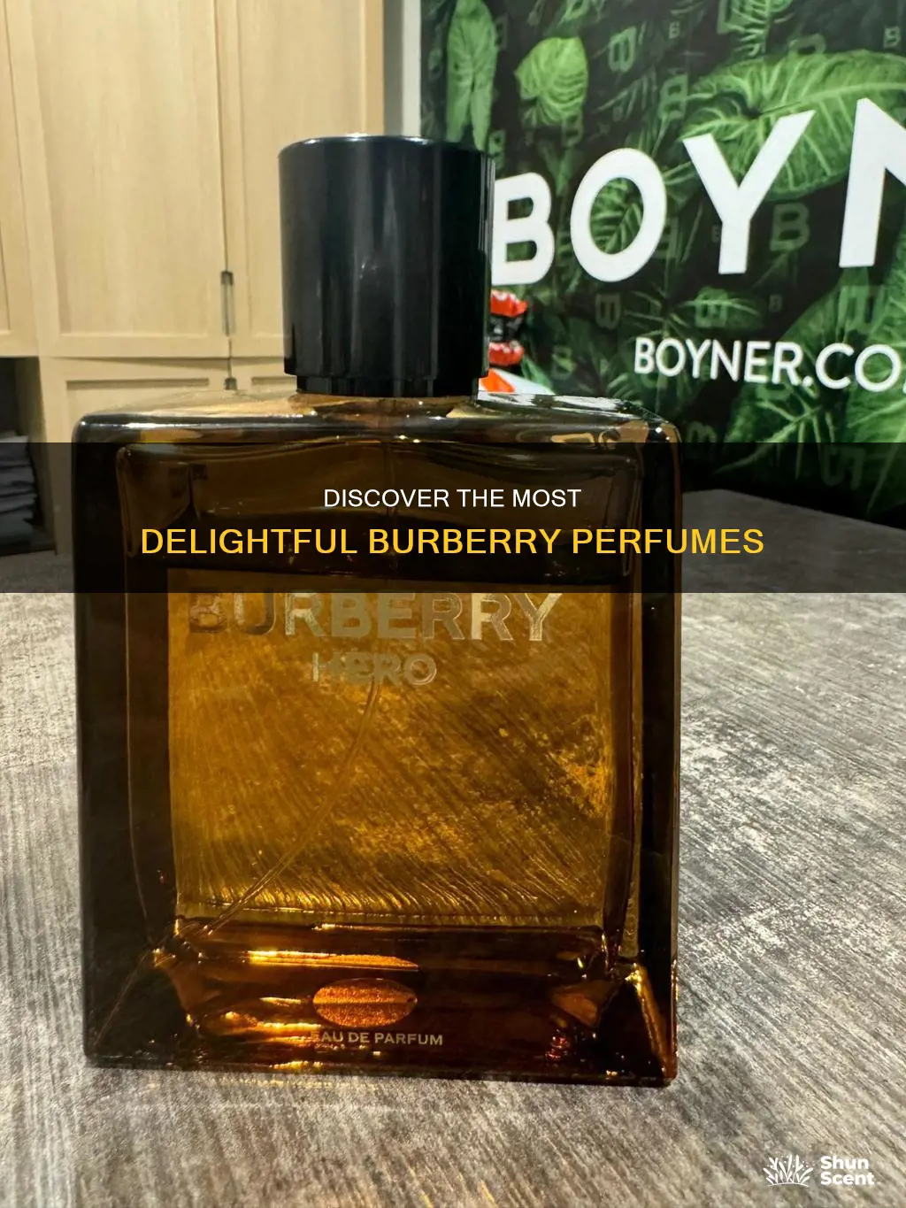 what is the best smelling burberry perfume