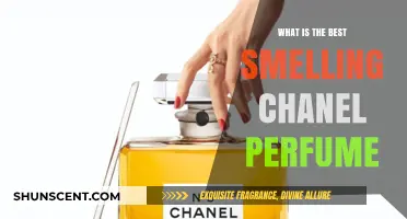 Chanel's Best Scents: Our Top Fragrance Picks