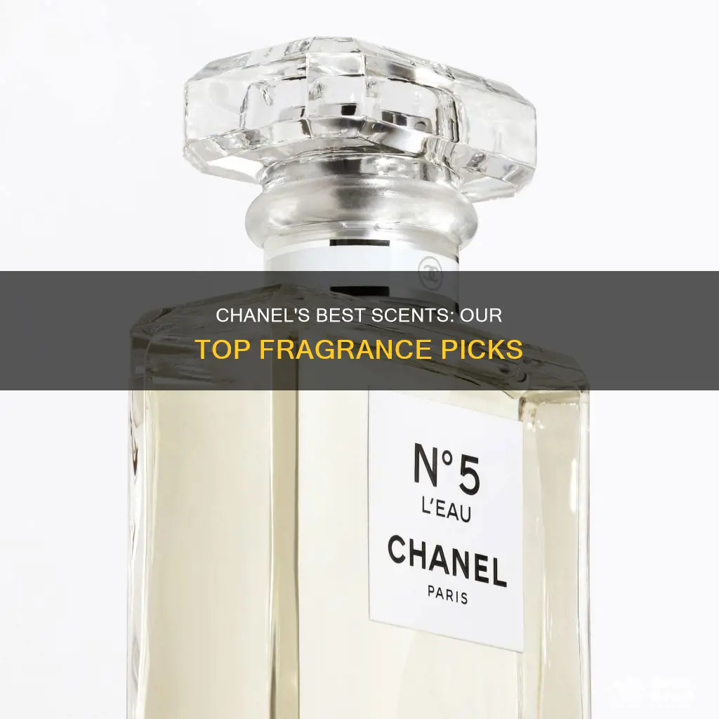 what is the best smelling chanel perfume
