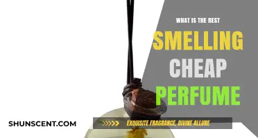 Affordable Scents: Best Cheap Perfumes that Smell Expensive