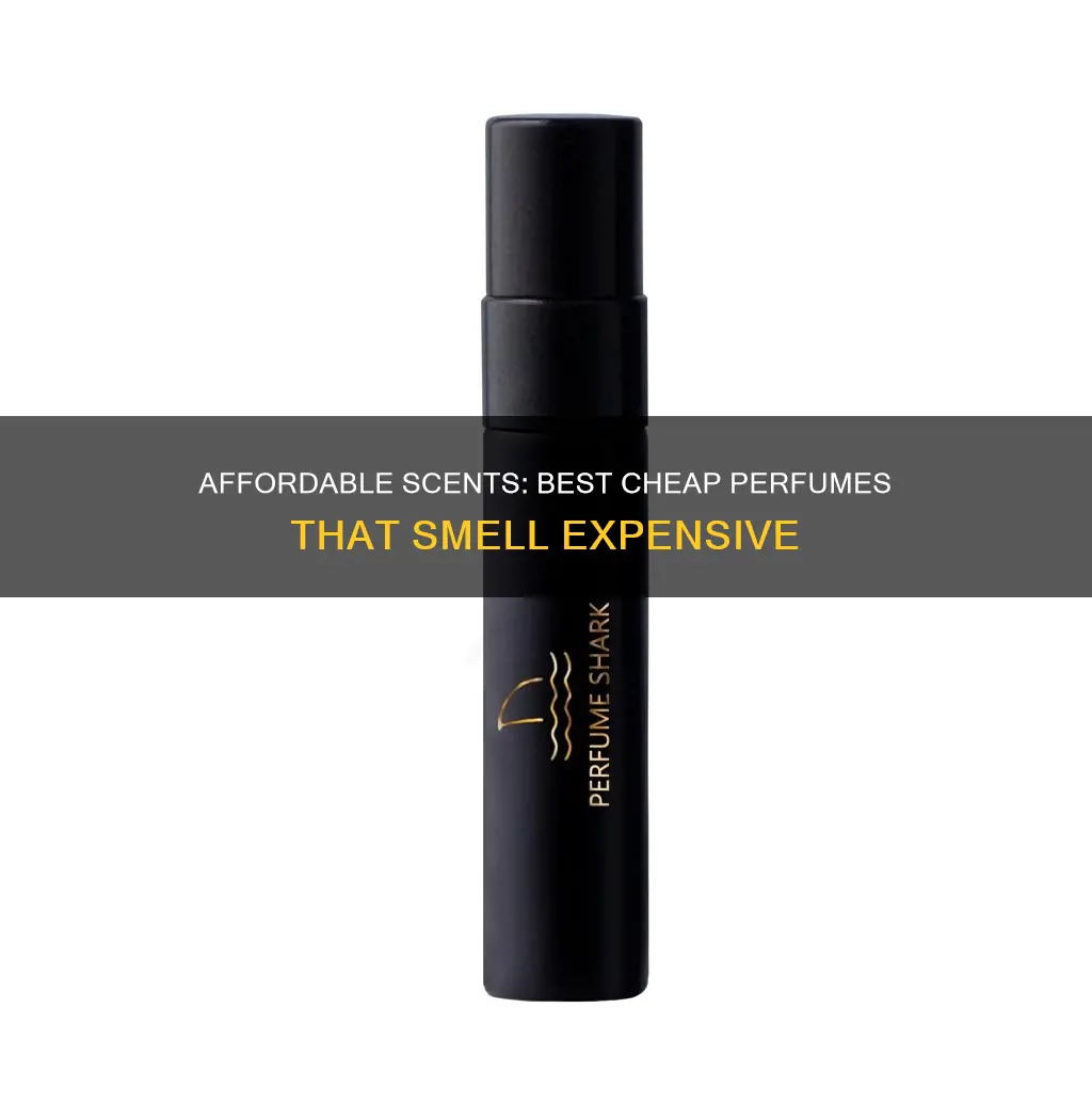 what is the best smelling cheap perfume