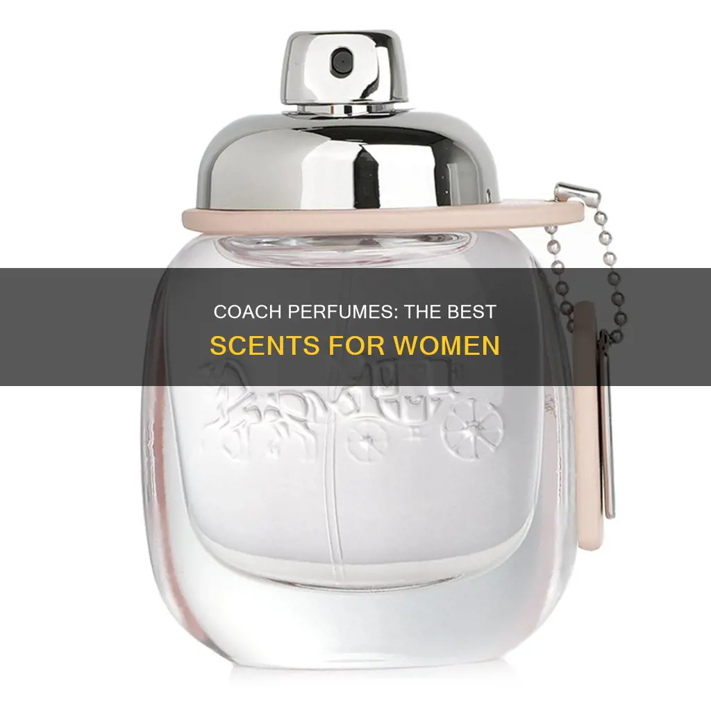 what is the best smelling coach perfume