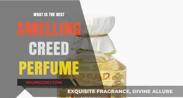Creed Scents: The Most Enticing Fragrances