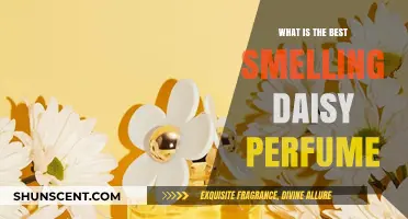Daisy Perfumes: Which Scents are the Sweetest?