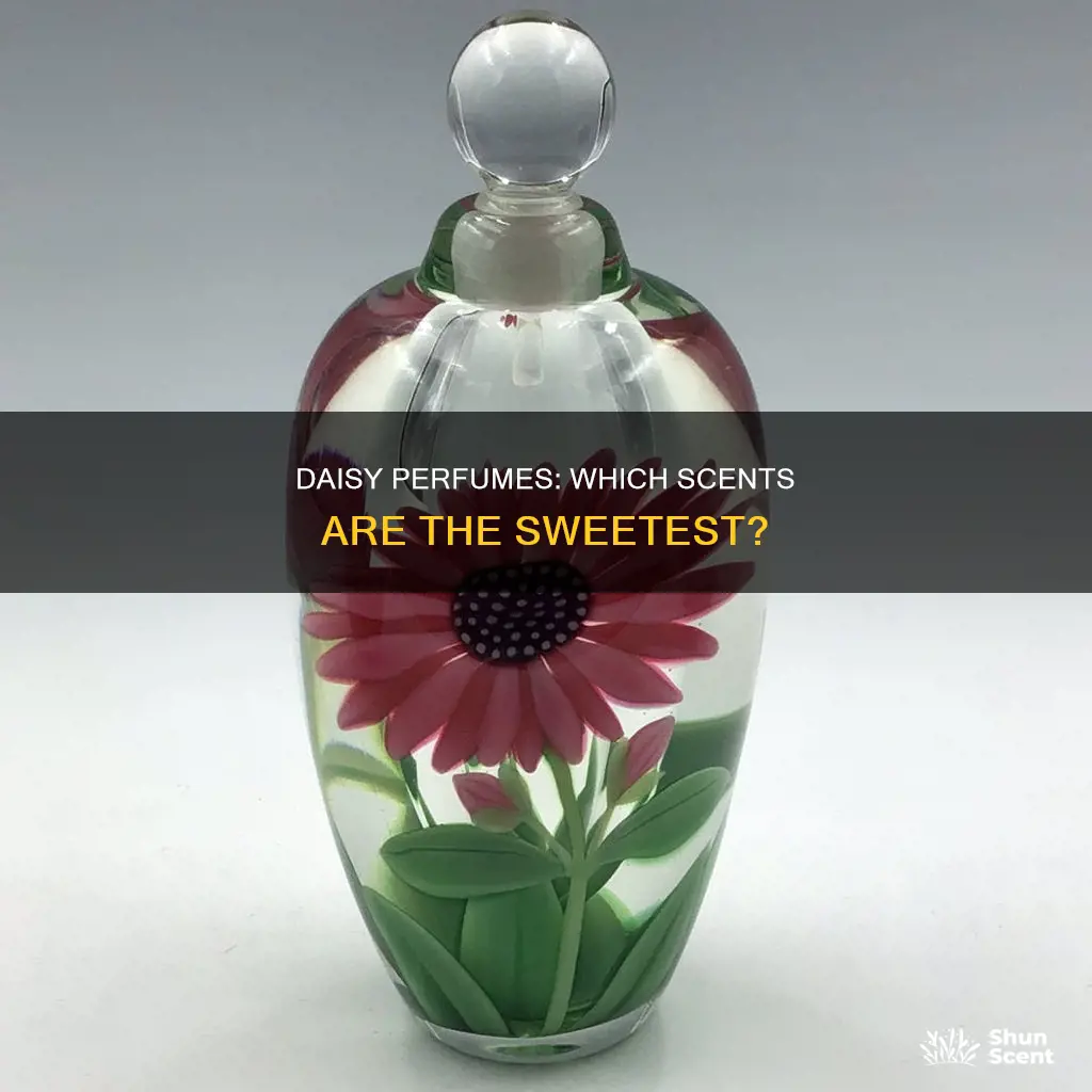 what is the best smelling daisy perfume