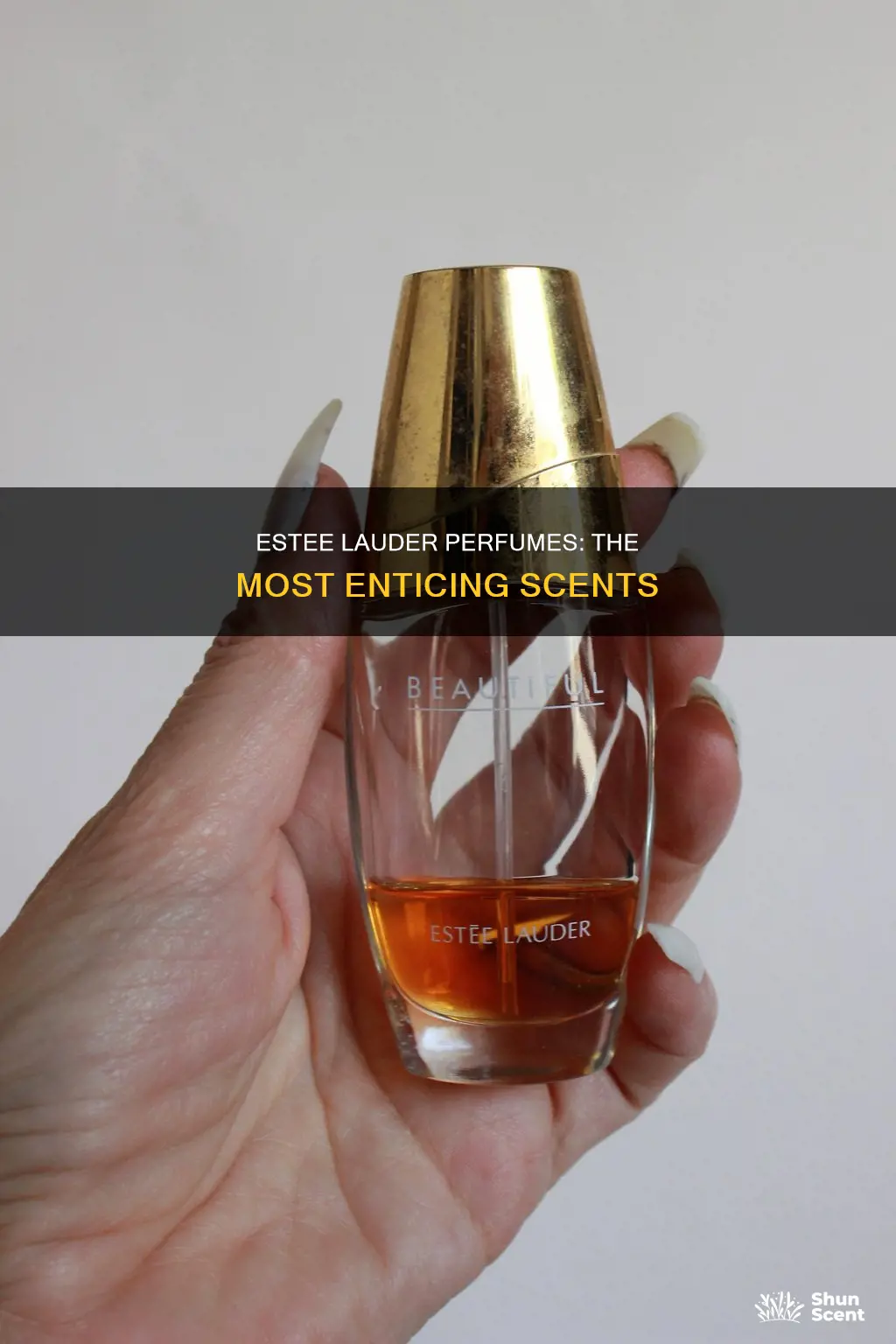 what is the best smelling estee lauder perfume