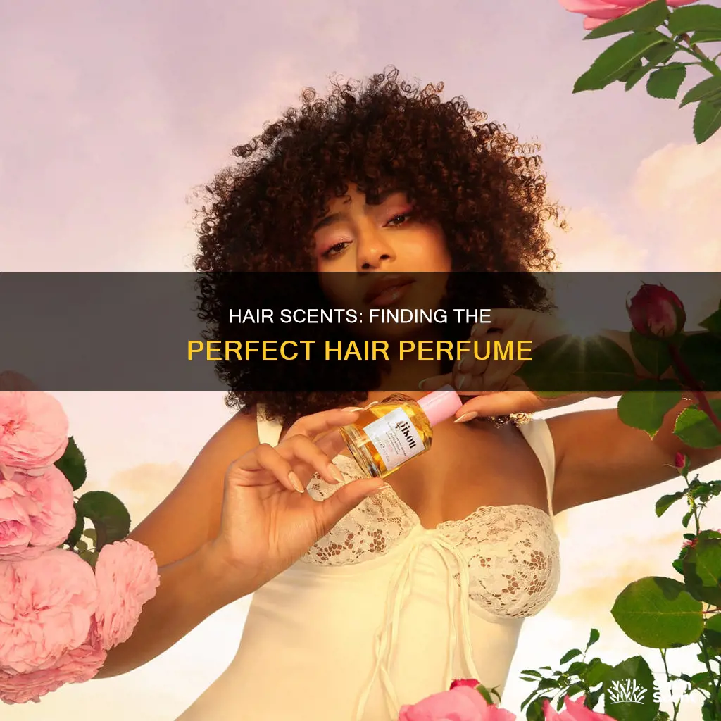 what is the best smelling hair perfume