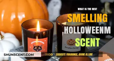 Discover the Most Enchanting Halloween Scent for a Spooky Ambiance