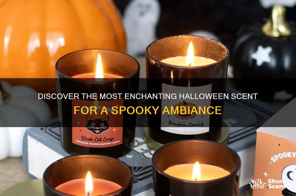 what is the best smelling holloweenman scent