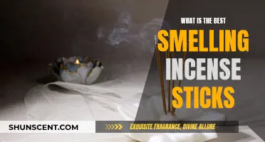 Incense Sticks: Which Scents Are the Most Enticing?