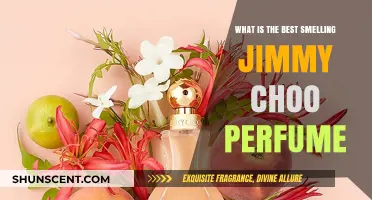 Unraveling the Best Jimmy Choo Scents