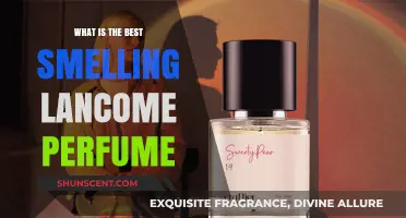 Lancôme Perfumes: Which Scents Smell the Best?