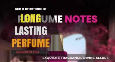 Best Long-Lasting Scents: Perfumes that Endure