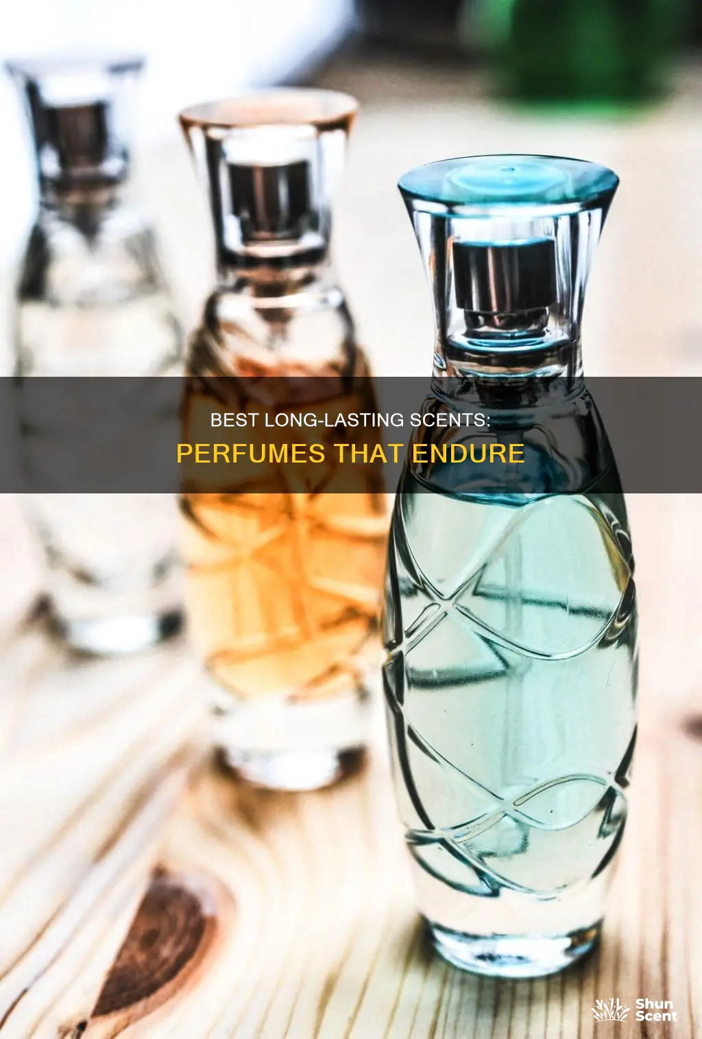 what is the best smelling long lasting perfume