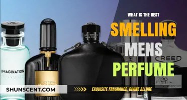 Top Scents: Best Perfumes for Men
