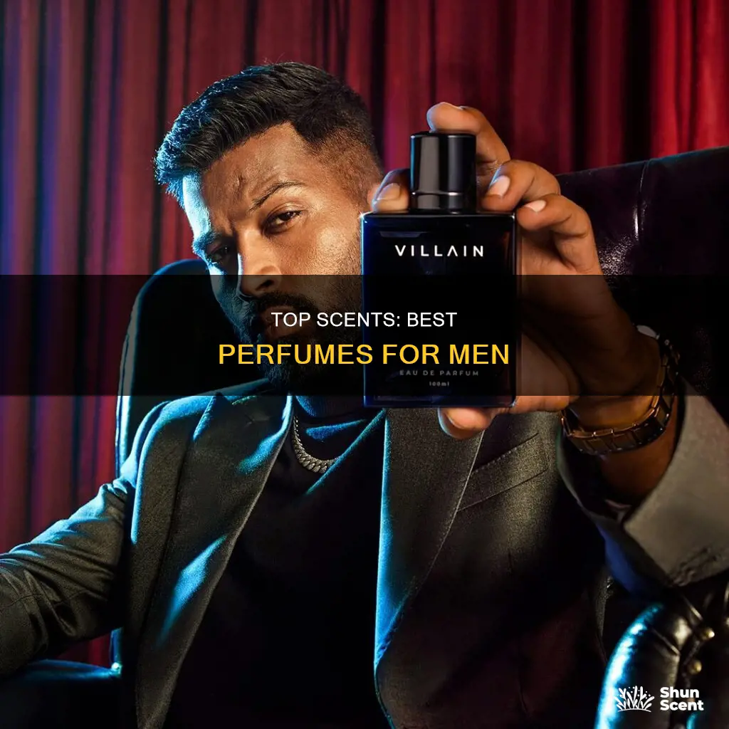 what is the best smelling mens perfume