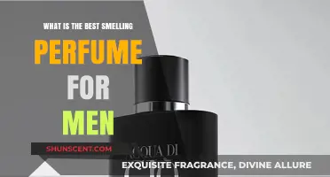 The Most Irresistible Scents for Men