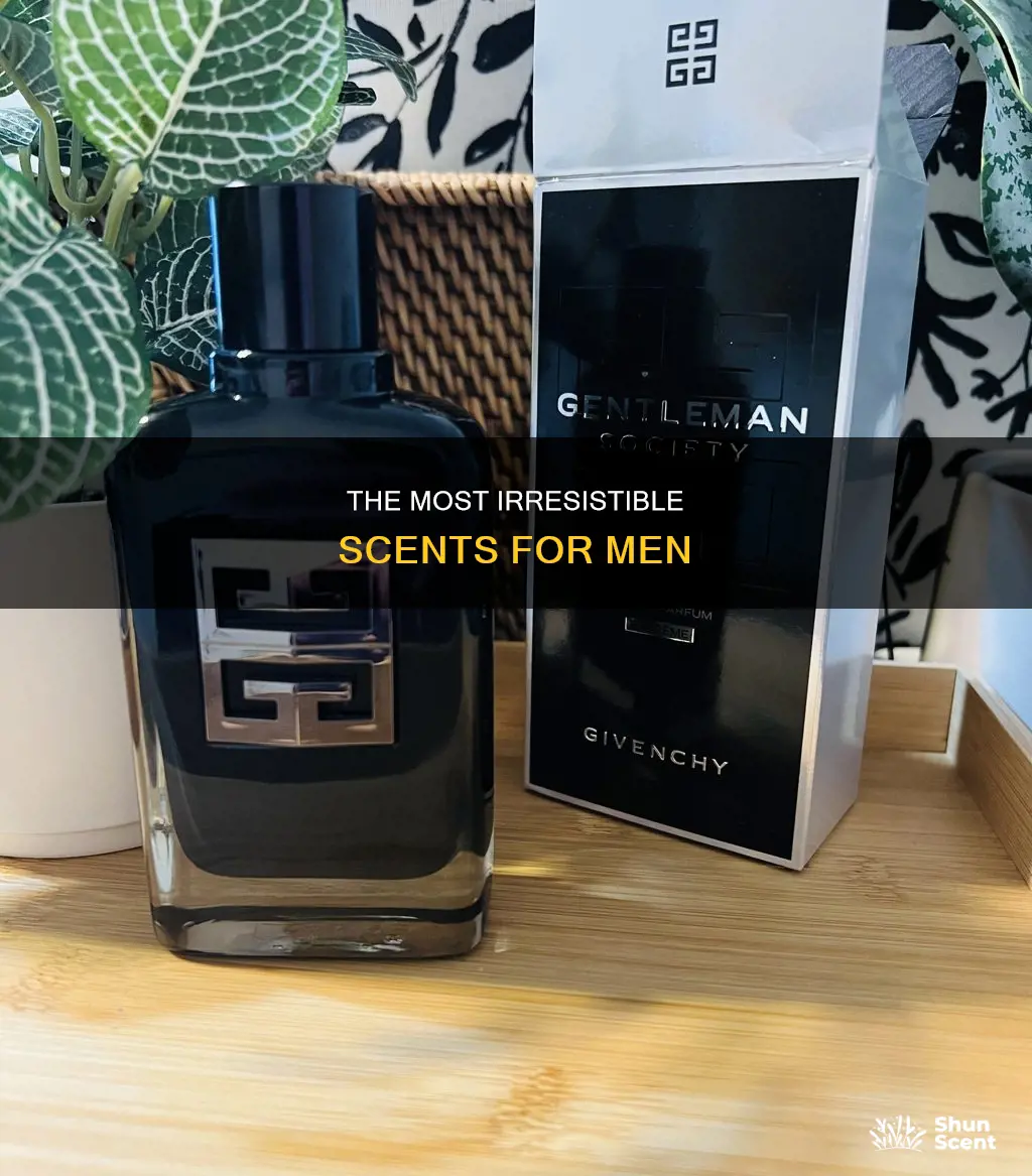 what is the best smelling perfume for men
