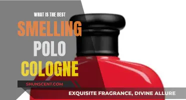 Polo Fragrances: The Best-Smelling Cologne Options