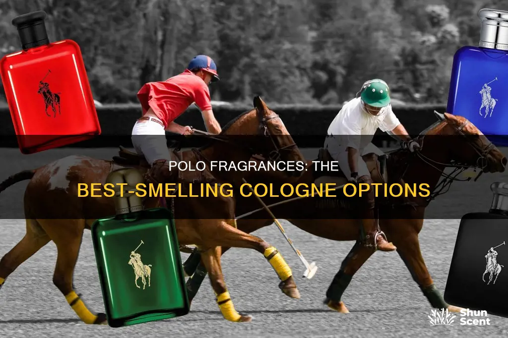 what is the best smelling polo cologne