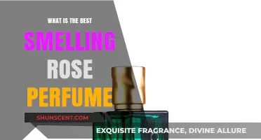 Rose Scents: The Best Perfumes for You