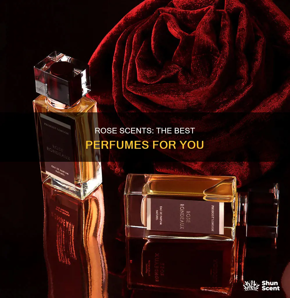 what is the best smelling rose perfume