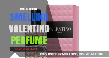 Valentino's Scents: Which Perfume Smells the Best?