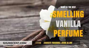 Vanilla Scents: The Best Perfumes for You