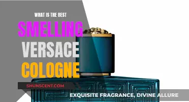 Versace Colognes: The Best Scents for Men