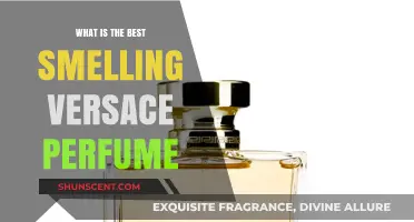 Versace Scents: The Best-Smelling Perfumes for You