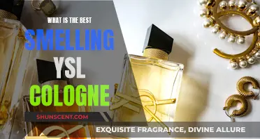 The Best-Smelling YSL Colognes for Men