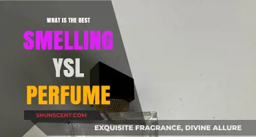 YSL Perfumes: The Best Scents for You