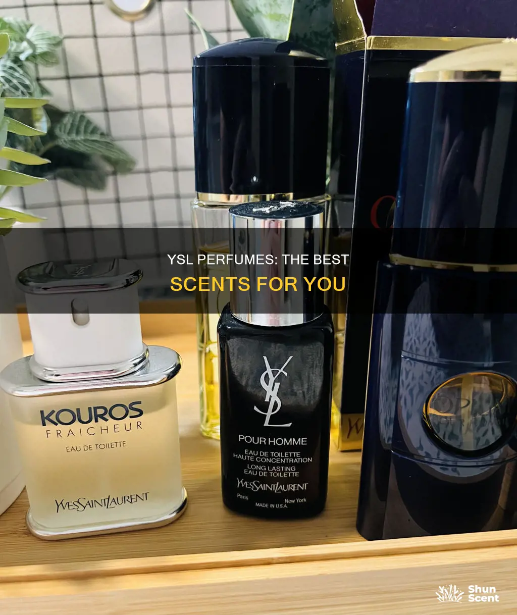 what is the best smelling ysl perfume