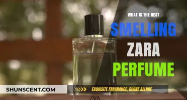 Zara's Most Irresistible Scents: Our Top Picks