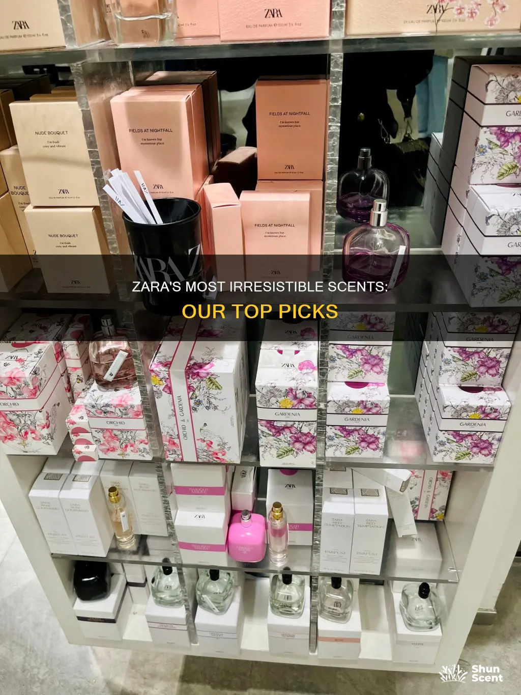 what is the best smelling zara perfume